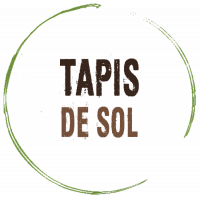 Tapis de Sol pour tente de randonnée légère msr footprint protection